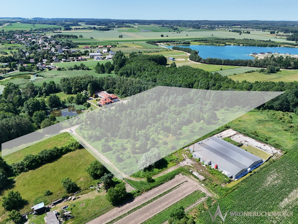 Działka - 1,65 ha - gmina Dobroszyce - Widok 2