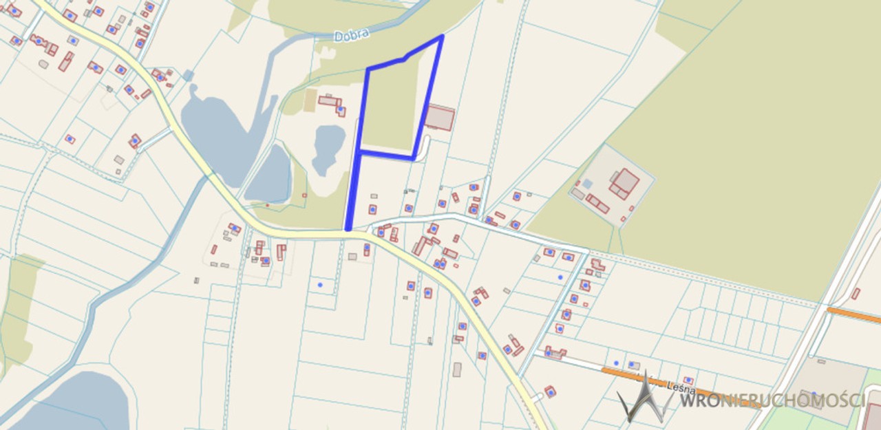 Działka - 1,65 ha - gmina Dobroszyce - Widok 3