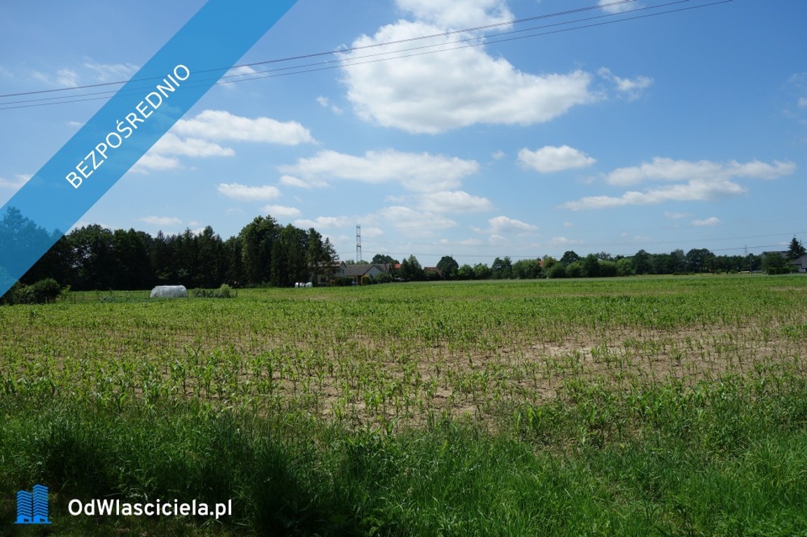 Skoczów Ochaby 1,57ha z częścią budowlaną 55ar i pod usługi - Widok 3