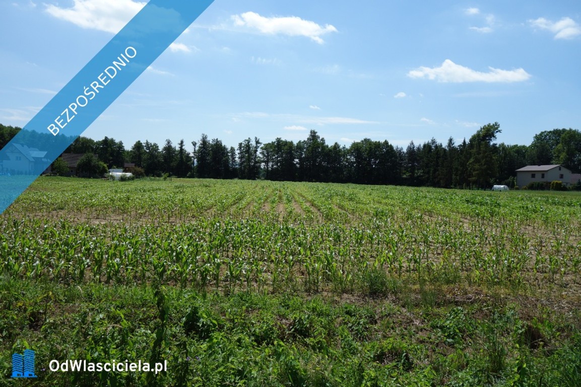 Skoczów Ochaby 1,57ha z częścią budowlaną 55ar i pod usługi - Widok 4
