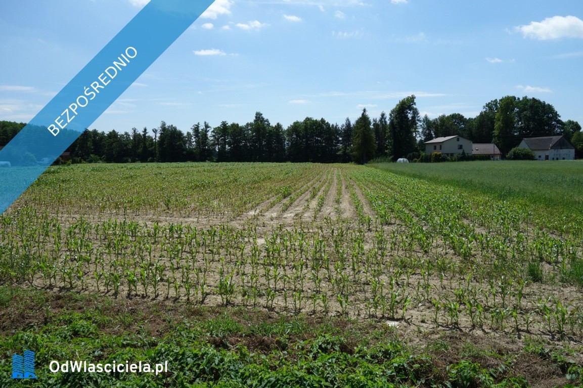Skoczów Ochaby 1,57ha z częścią budowlaną 55ar i pod usługi - Widok 5