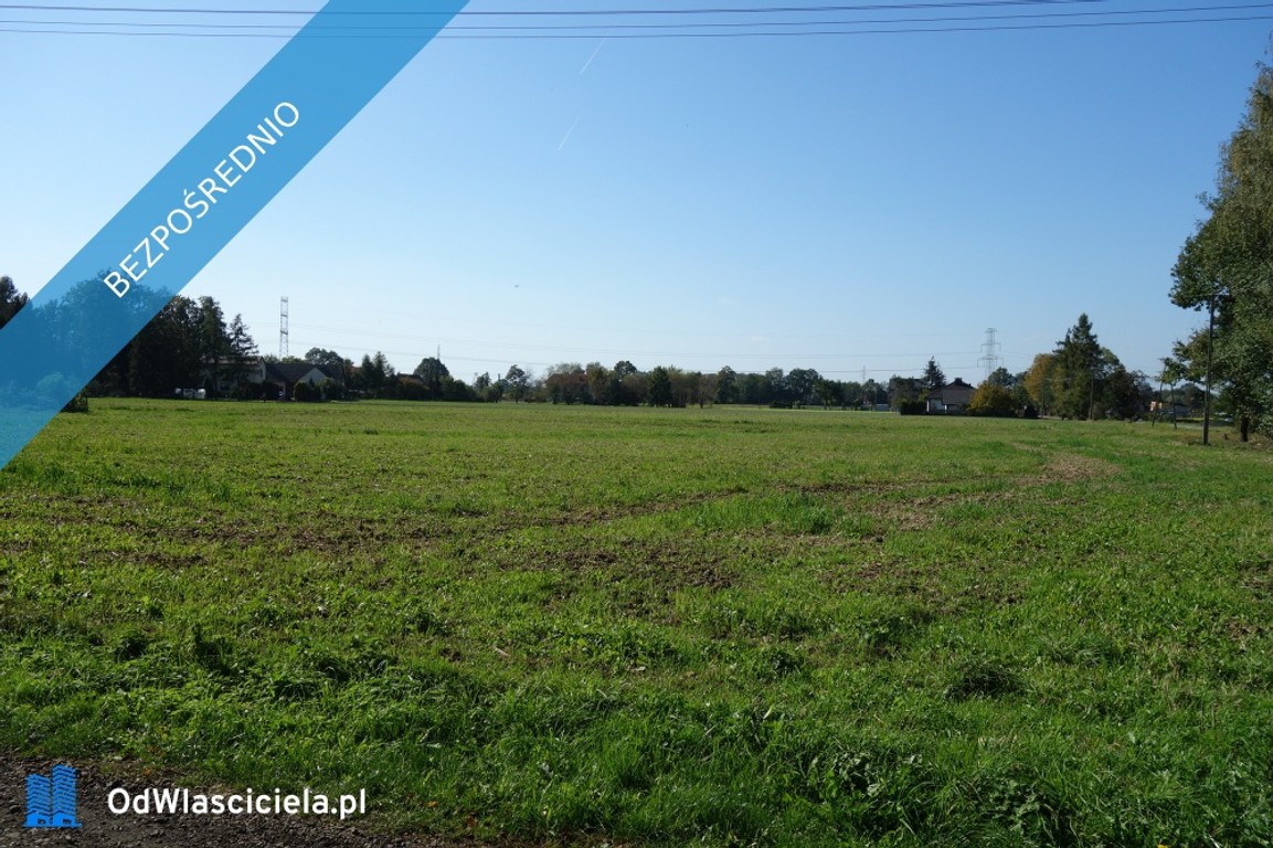 Skoczów Ochaby 1,57ha z częścią budowlaną 55ar i pod usługi - Widok 6