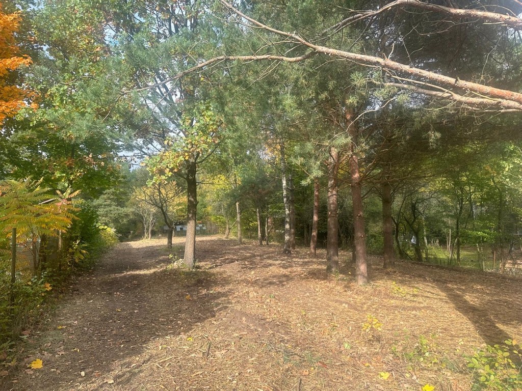 Budowlana nad rzeką Świder 30min z W-wy trasą S17 - Widok 2