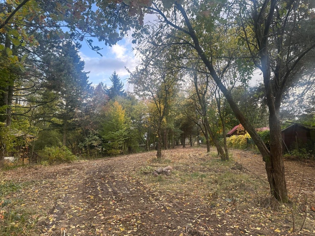 Budowlana nad rzeką Świder 30min z W-wy trasą S17 - Widok 6