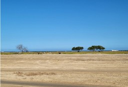 Działka inna La Guajira, Manaure