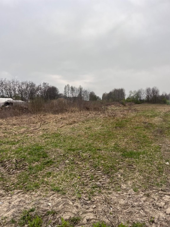 Działka budowlana 10 ar Wielkie Drogi - Widok 2