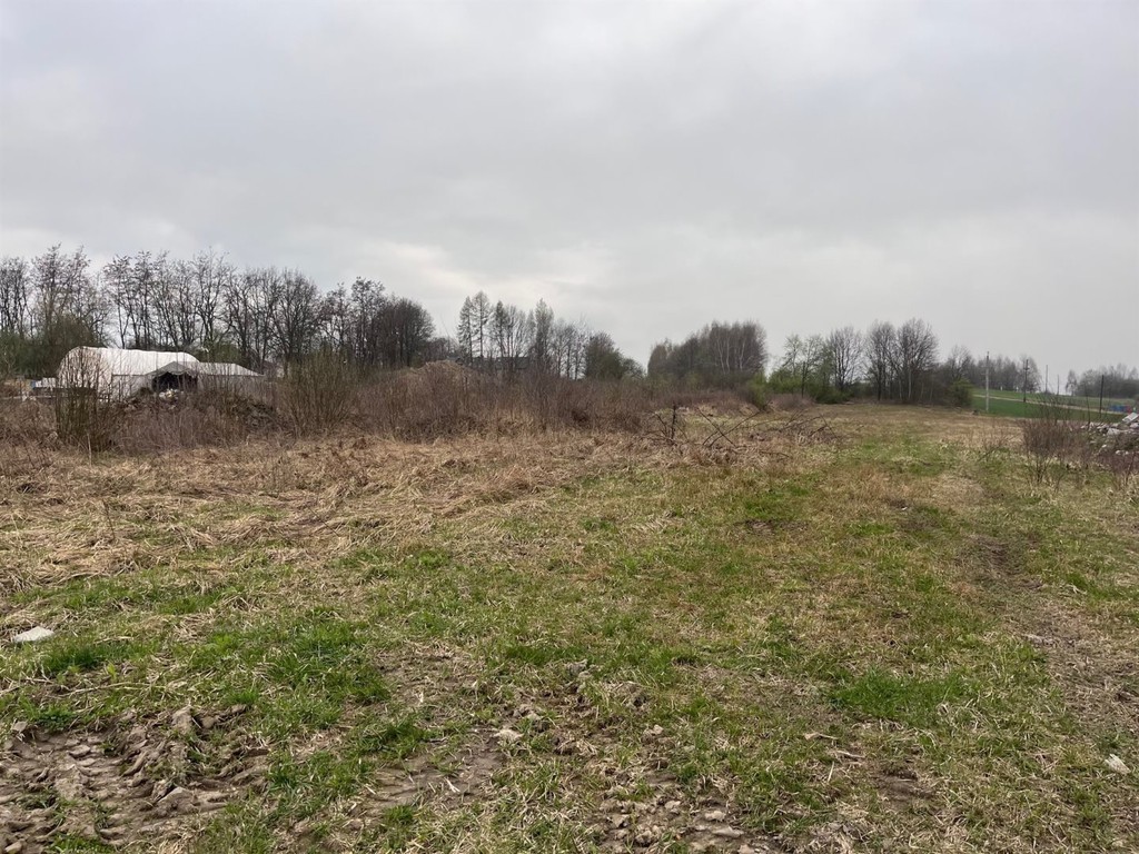 Działka budowlana 10 ar Wielkie Drogi - Widok 4