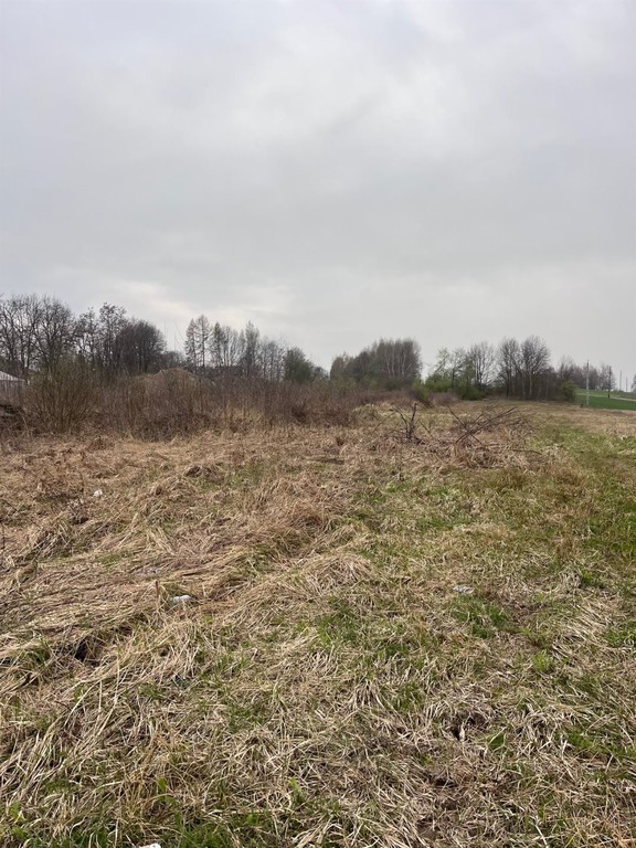 Działka budowlana 10 ar Wielkie Drogi - Widok 5