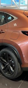 Lexus NX NX 14- 350h Prestige 2.5 Hybrid AWD NX 350h Prestige 2.5 Hybrid AWD | Czujniki-3