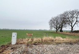 Działka budowlana Kaźmierz Kaźmierz Wielkopolski, ul. Czereśniowa