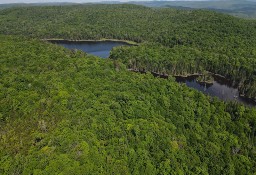 Działka inna Wentworth-Nord