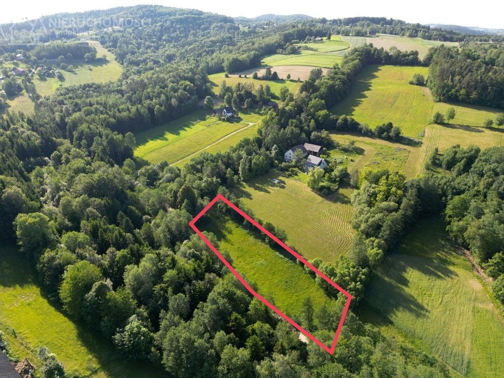 Działka przy lesie, z asfaltowym dojazdem i WZ! - Widok 2