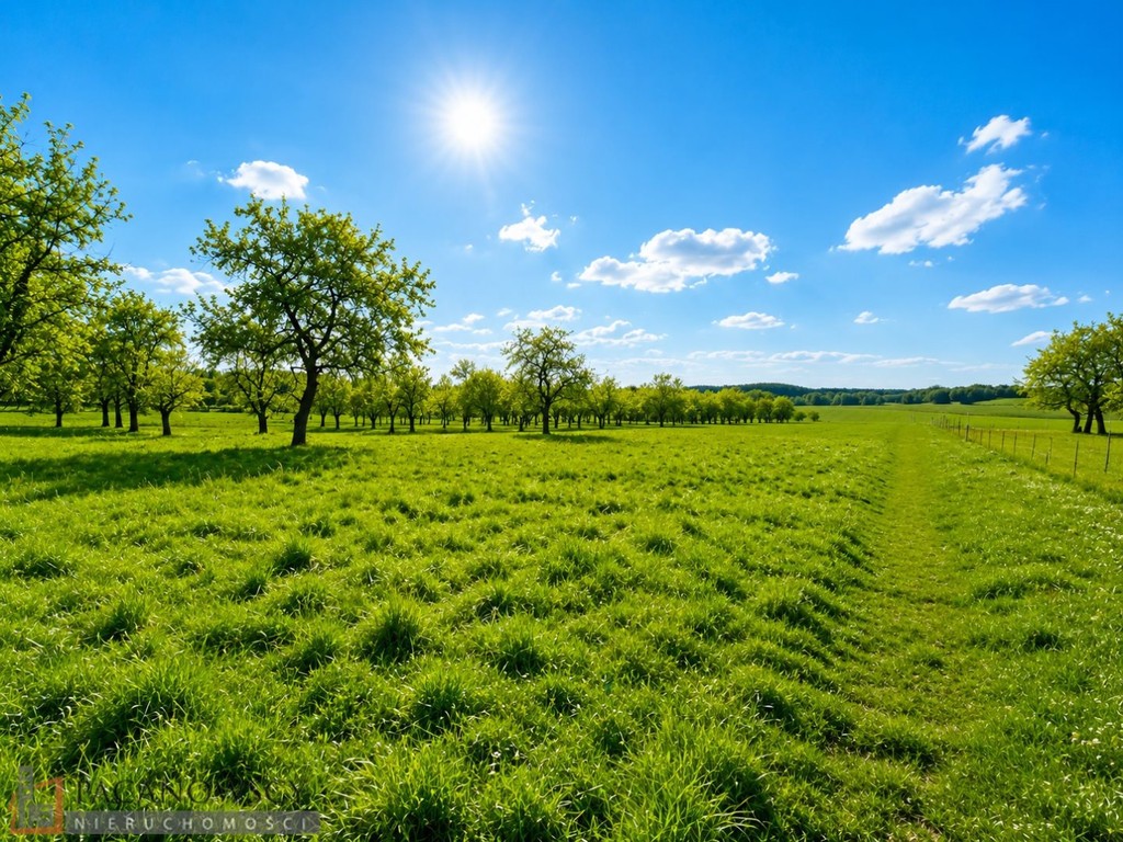 Działka na sprzedaż, 1010 m², Skała Smardzowice, małopolskie