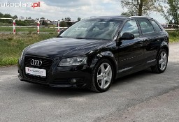 Audi Inny Audi