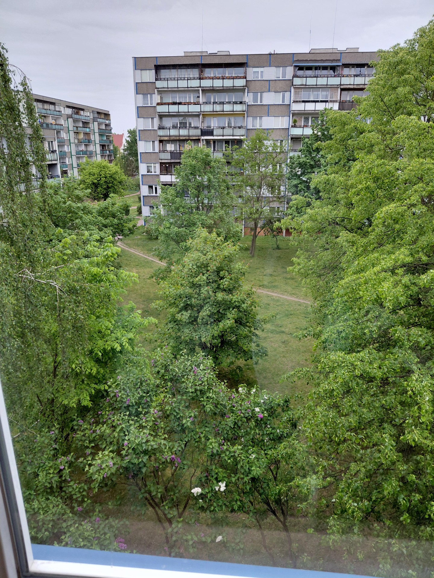 NOWA CENA | Bezpośrednio | słoneczne mieszkanie 60 m² | 3 pokoje | os. Kopernika - Więcej