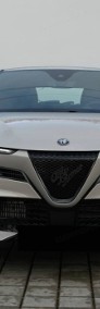 Alfa Romeo Ibrida Ti 1.2 Ibrida Ti (145KM) Kamera cofania + tempomat aktywny-3