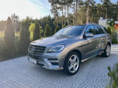 BlueTec AMG-1
