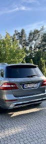 BlueTec AMG-4
