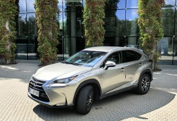 Lexus NX NX 14- 300H AWD 155KM Salon PL / Serwis ASO