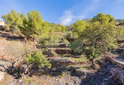 Dom Vall D&apos;Uixó (La)