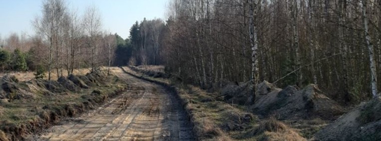Duża działka w lesie - gmina Puszcza Mariańska-1