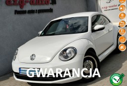Volkswagen Beetle III bezwypadkowy serwis wyposażenie Gwarancja