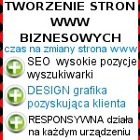 Tworzenie stron internetowych kasy biznes.