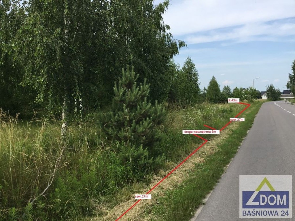 Rokitno - działki budowlane z drzewostanem - Widok 2