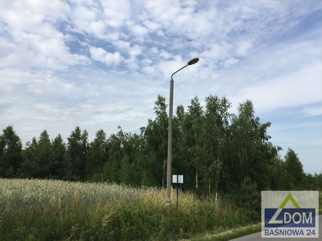 Rokitno - działki budowlane z drzewostanem - Widok 3