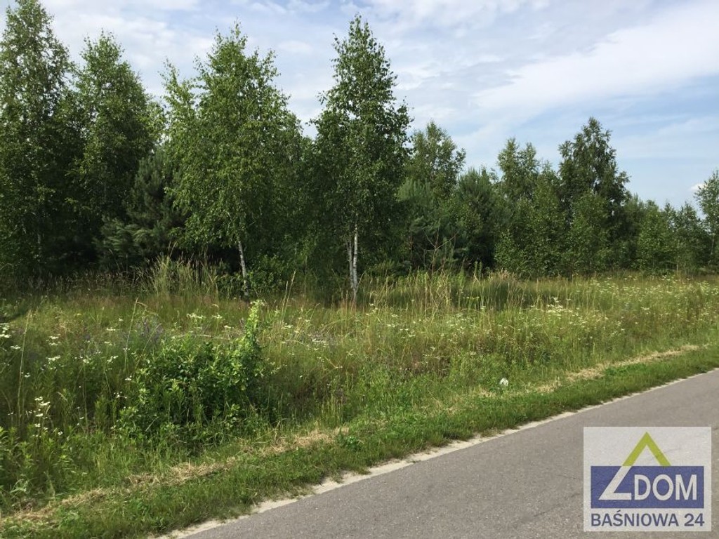 Rokitno - działki budowlane z drzewostanem - Widok 4