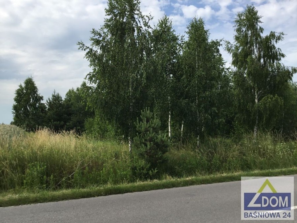 Rokitno - działki budowlane z drzewostanem - Widok 5