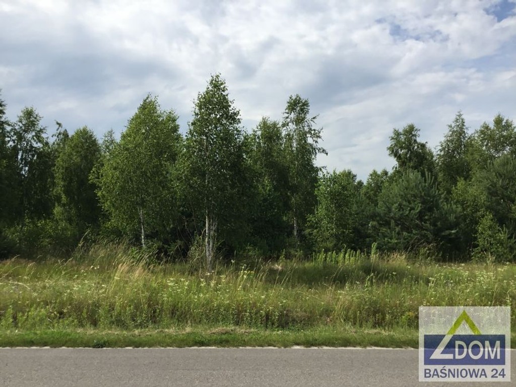 Rokitno - działki budowlane z drzewostanem - Widok 6