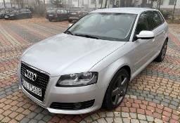 Audi A3 II (8P) Lift 2.0 TDI