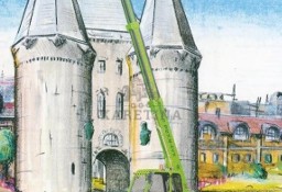 Merlo Panoramic Evolution p 27.9 EVX [CZĘŚCI MECHANICZNE] - Zwolnica - Zwrotnica