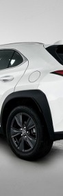 Lexus UX 300h Business UX 300h Business 2.0 | Czujniki parkowania | Kamera co-4
