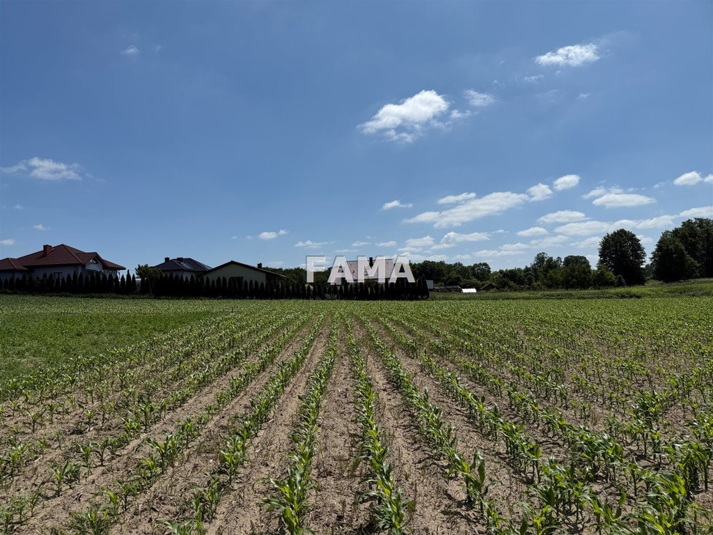 Działka na sprzedaż, 1000 m², Fabianki Szpetal Górny - Widok 3