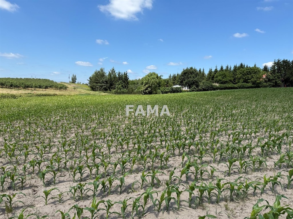 Działka na sprzedaż, 1000 m², Fabianki Szpetal Górny - Widok 4