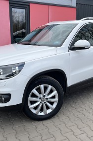 SZKLANY DACH • SERWISOWANY -2