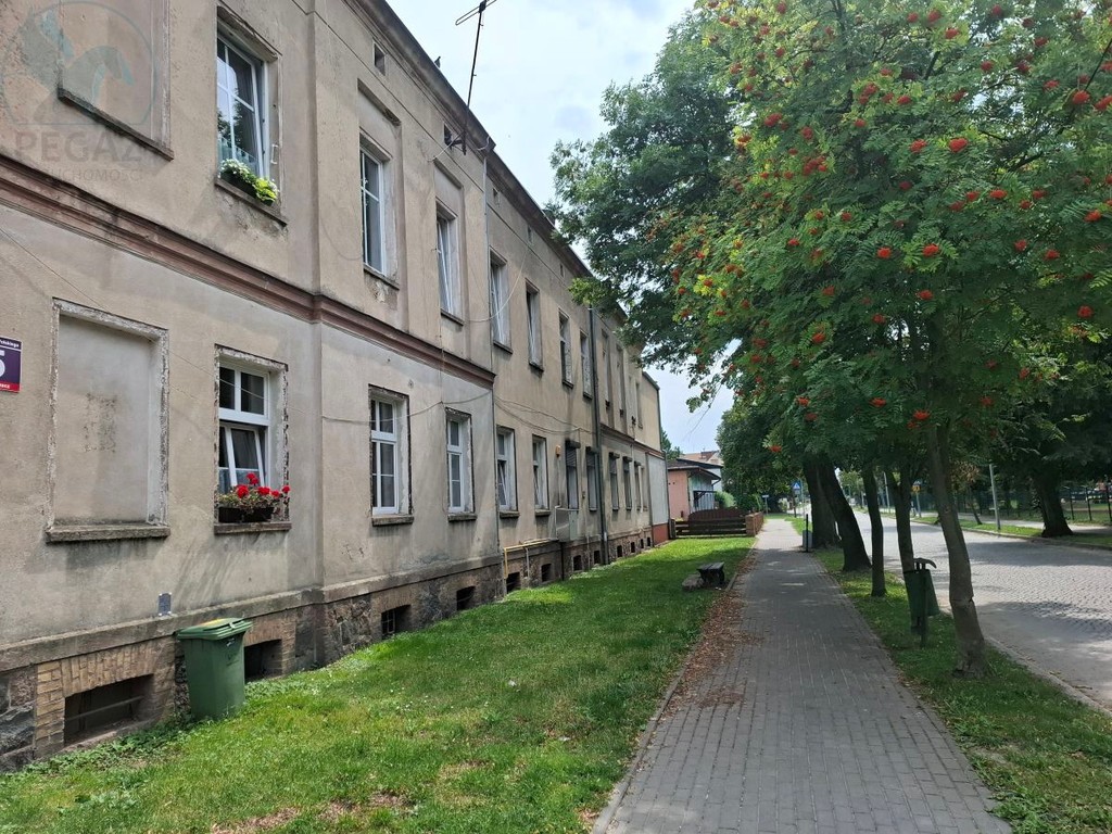 mieszkanie na sprzedaż