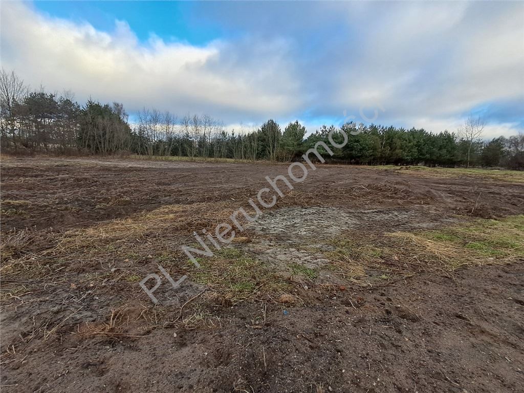 Działka na sprzedaż, 2250 m², Jaktorów Budy-Grzybek - Widok 4