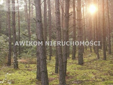 Działka leśna Puszcza Mariańska Emilianów-1