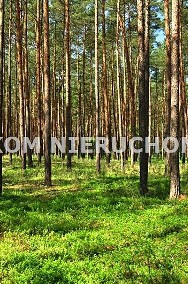 Działka leśna Puszcza Mariańska Emilianów-3