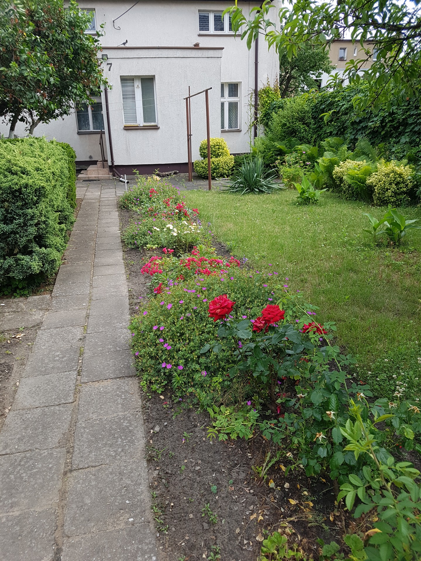 Mieszkanie na wynajem, 58 m² Grunwald, Świetlana