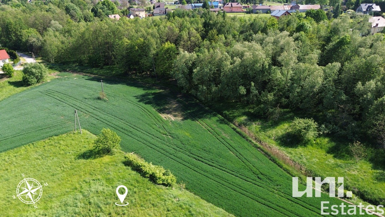 Działka budowlana 1860 m² | Alwernia | Zielono – pohled 6