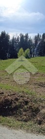 Poręba – Działki Rolno-Leśne – 1,57 ha-3