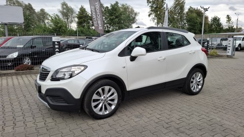 Krajowy /  1.6 Benzyna / Biała Perła