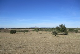 Działka inna Idanha A Nova, Castelo Branco