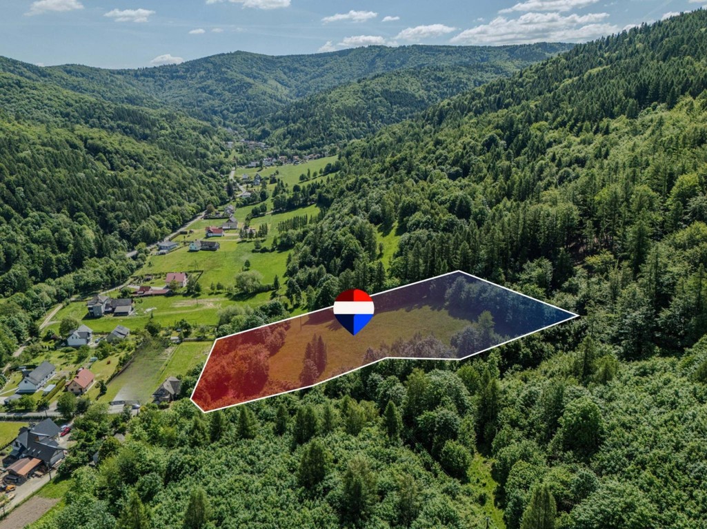 Działka leśna Rzyki - Widok 2