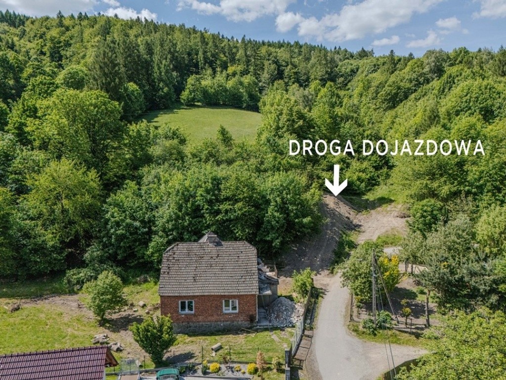 Działka leśna Rzyki - Widok 3