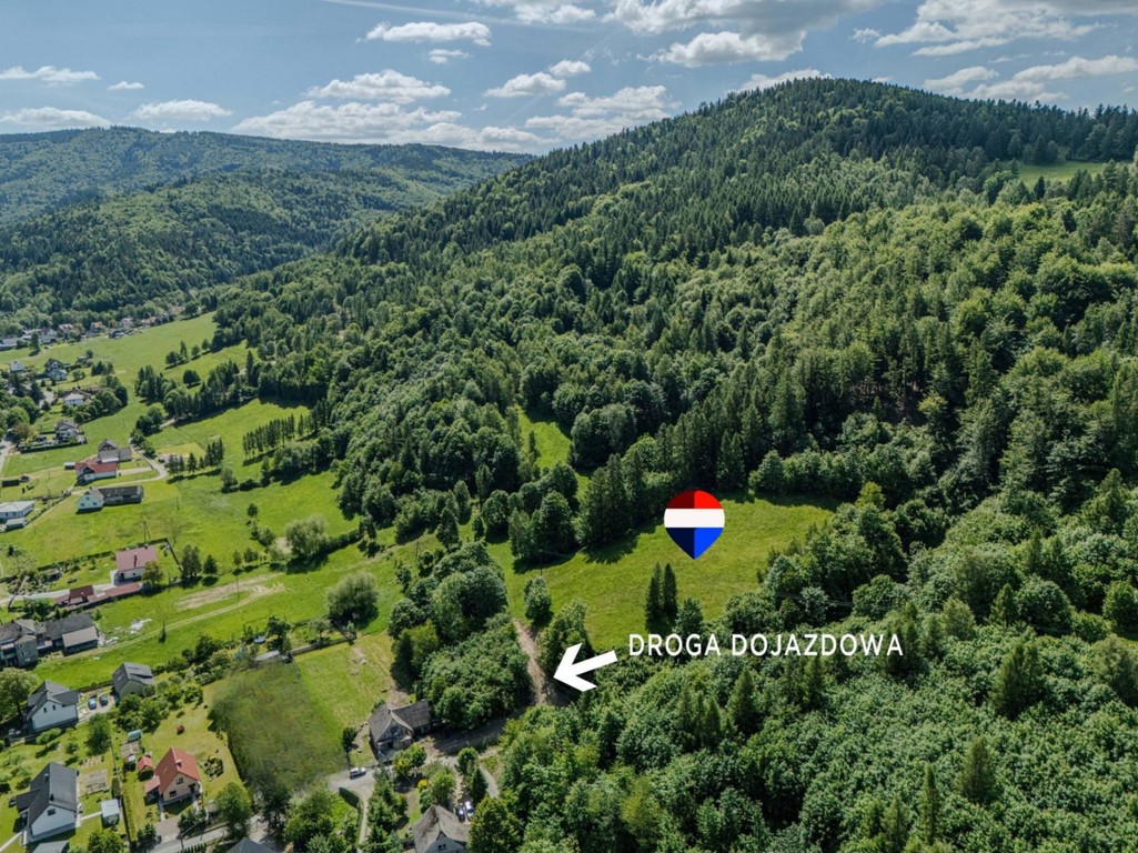 Działka leśna Rzyki - Widok 4